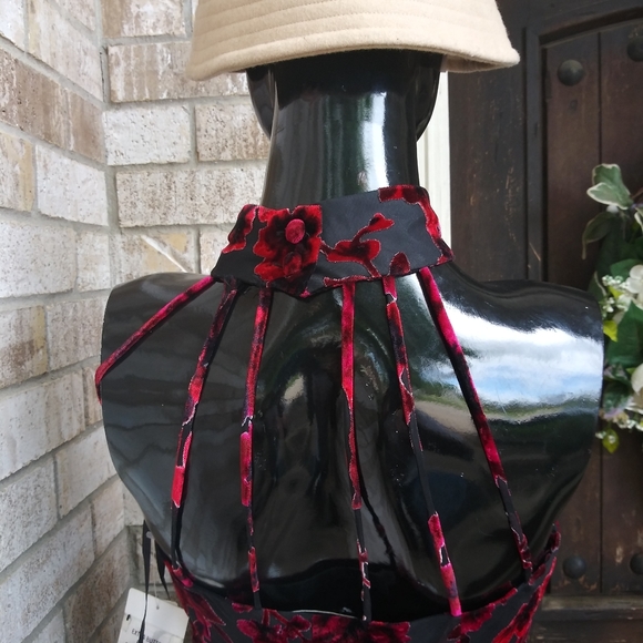 Evan piccone - Picture 5 of 7